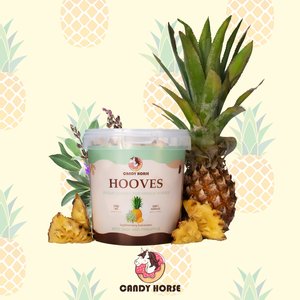 Kopytka ananas i szałwia Candy Horse 