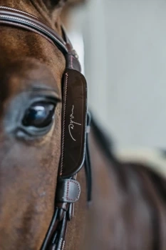 Zaślepki Dy'on Blinkers AB99Q