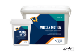 Suplement wspierający funkcjonowanie mięśni Cavalor Muscle Motion