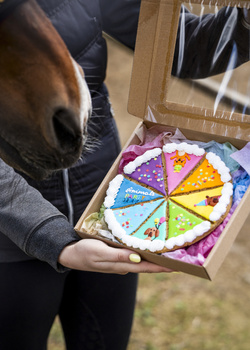 Tarta dla koni Candy Horse 