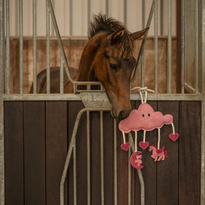 Zabawka do boksu QHP Horse Toy Novy