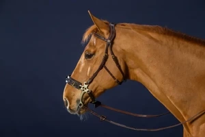 Ogłowie do Hackamore Dy'on D Collection DYFADX