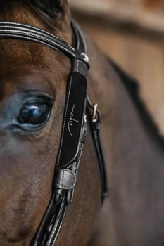 Zaślepki Dy'on Blinkers AB99Q