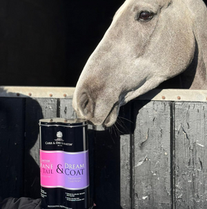 Zestaw do pielęgnacji konia Carr & Day & Martin Grooming DUO