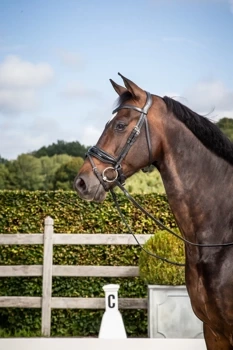 Ogłowie z nachrapnikiem szwedzkim Dy'on Dressage Collection NEDCAN