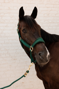 Kantar dla konia Kentucky Horsewear Velvet