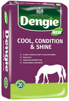 Sieczka Dengie Cool Condition & Shine 20 kg