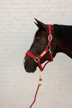 Kantar dla konia Kentucky Horsewear Velvet