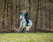 Czaprak wszechstronny QHP Eldorado