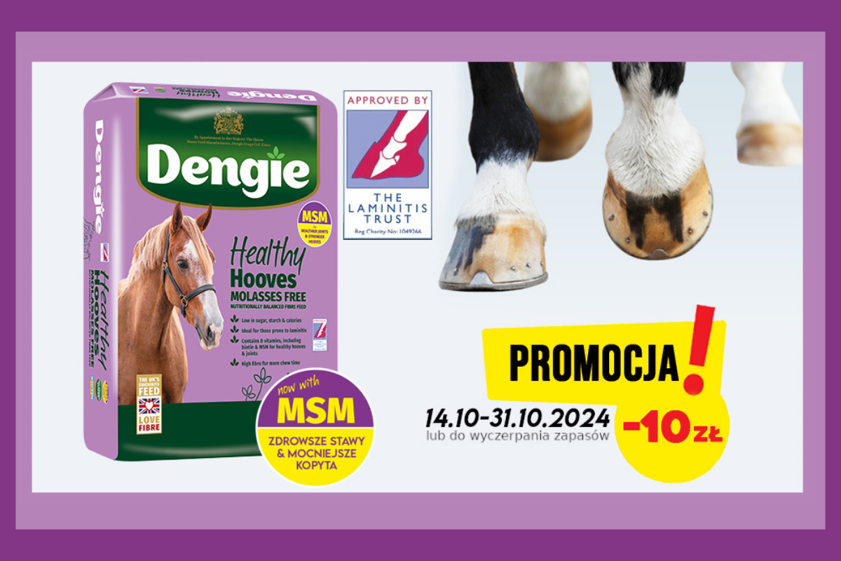 Promocja