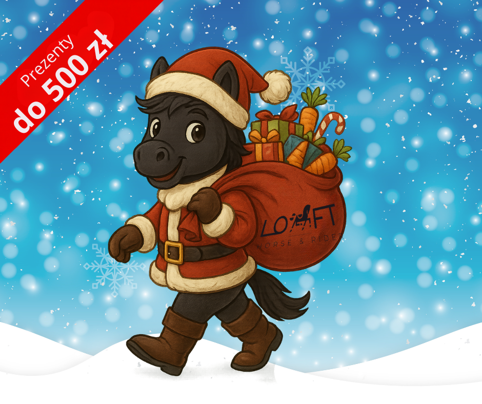 Prezenty jeździeckie do 500 zł – propozycje dla konia i jeźdźca