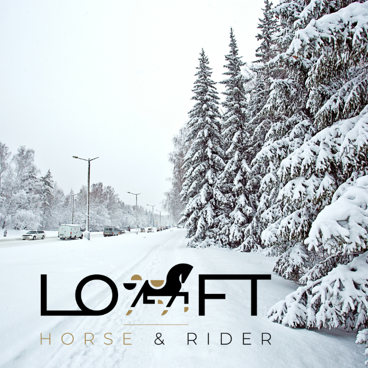 Zimowe obozy jeździeckie – czy to dobry pomysł dla dziecka?