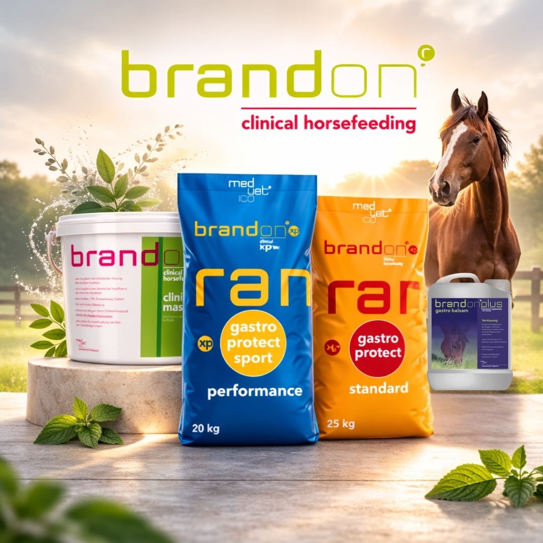 Brandon – kliniczne żywienie koni oparte na nowoczesnej dietetyce