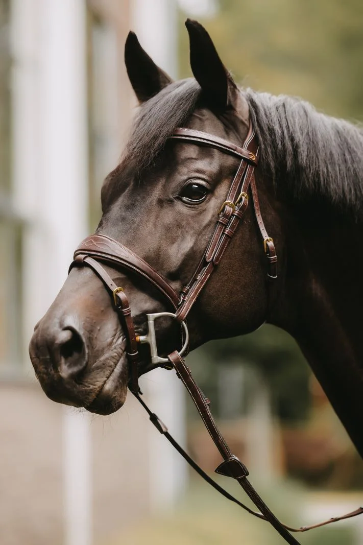 Dy’on – jakość, którą widać i czuć 🐎✨