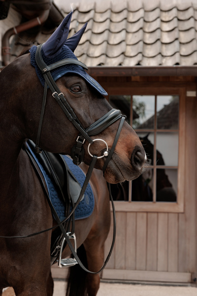 Nauszniki wyciszające Kentucky Horsewear Wellington Sparkling Logo