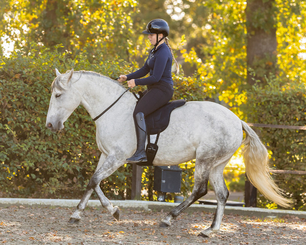 Cordeo skórzane QHP Liberta