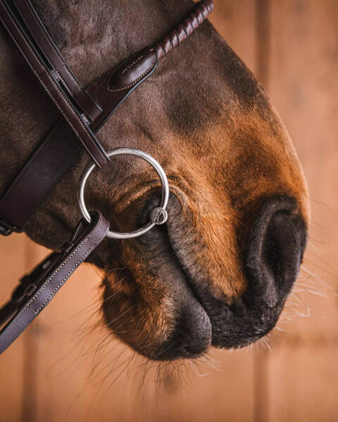 Wędzidło zwykłe FAGER Penny Basic Line - podwójnie łamane