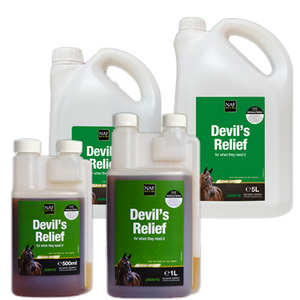 Czarci pazur z dodatkiem MSM w płynie NAF