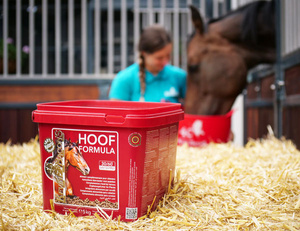 Suplement dla koni na zdrowe kopyta, sierść i ogólną kondycję KEVIN BACON'S Hoof Formula