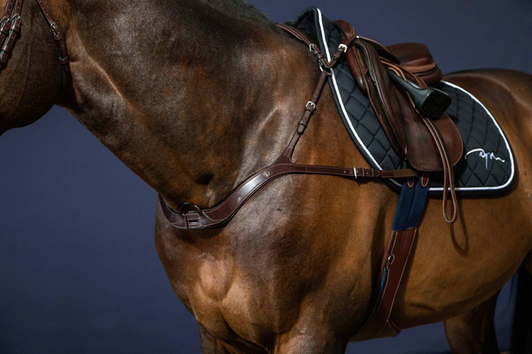 Napierśnik z mostkiem Dy'on New English Collection NE06B