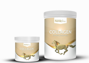 Kolagen HorseLine