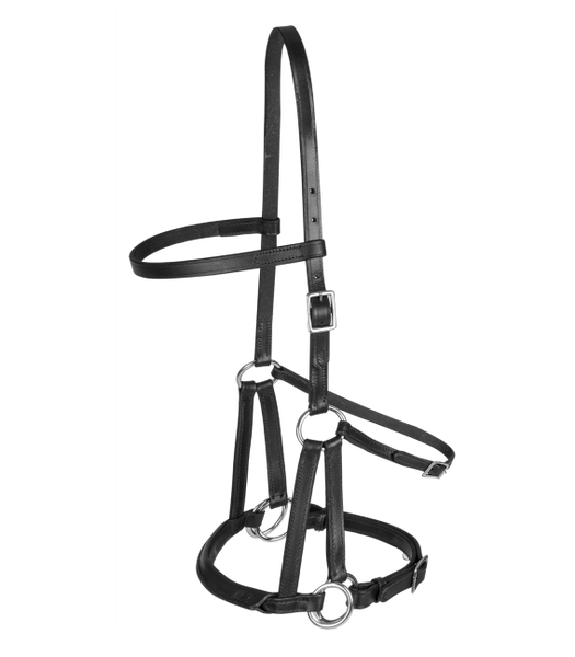 Ogłowie bezwędzidłowe Waldhausen Lindell