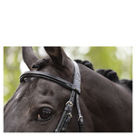 Ogłowie z nachrapnikiem kombinowanym ANKY® Shaped