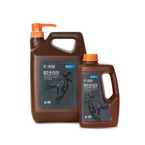 Suplement wspomagający działanie stawów Foran Ost-O-Flex