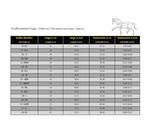 Czapsy Kavalkade Valerius