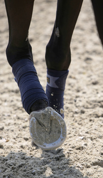 Owijki polarowe Kentucky Horsewear