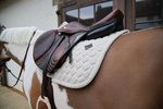 Czaprak wszechstronny Kentucky Horsewear Melange