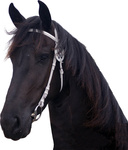 Ogłowie pokazowe QHP