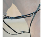 Wodze Thiedemanna Kavalkade