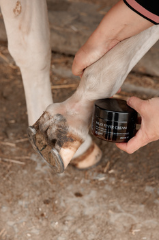 Krem ochronno-regenerujący na grudę i podrażnienia skóry nóg konia Grooming Deluxe Mud Fever Cream Plus