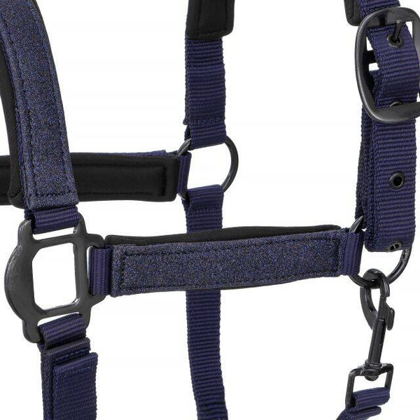 Kantar START Glitter