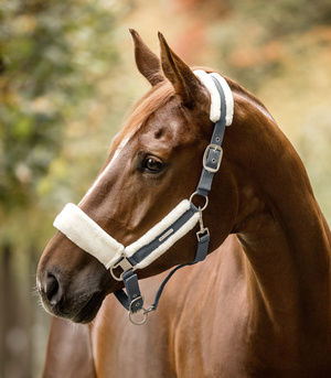 Kantar Waldhausen Soft