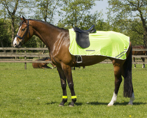 Derka treningowa QHP Reflection