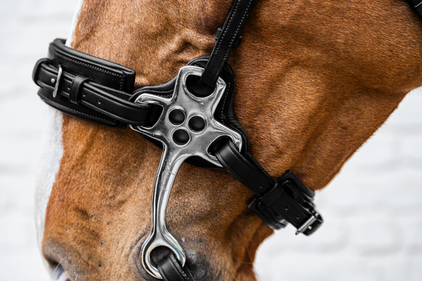 Hackamore Dy'on New English Collection NE-14003