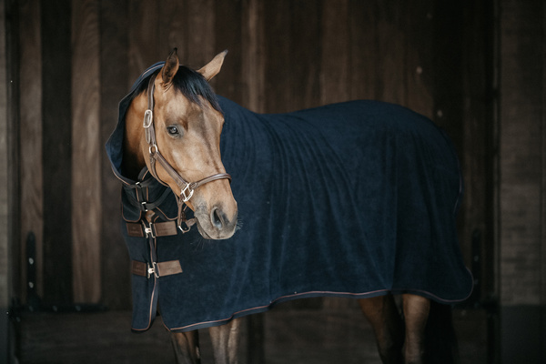 Kantar anatomiczny Kentucky Horsewear Anatomic Leather Halter