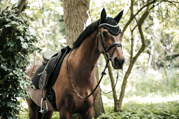 Nauszniki klasyczne Kentucky Horsewear Wellington Stone & Pearl