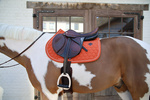 Czaprak wszechstronny Kentucky Horsewear Melange