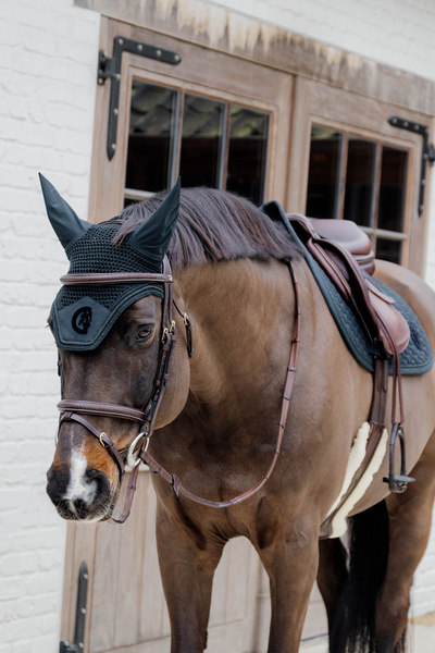 Ogłowie z nachrapnikiem angielskim kombinowanym z paskiem krzyżowym Dy'on D Collection Plaited DYAOAK