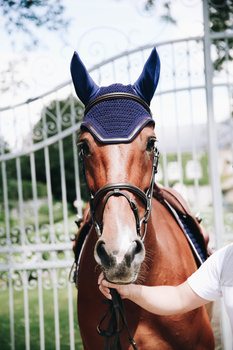 Nauszniki klasyczne Kentucky Horsewear Wellington Leather