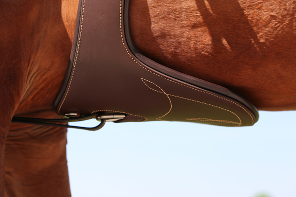 Popręg z fartuchem Kentucky Horsewear