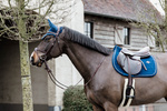 Czaprak wszechstronny Kentucky Horsewear Velvet Basic