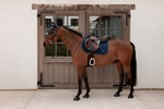 Czaprak wszechstronny Kentucky Horsewear Sparkling 