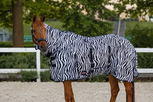 Derka siatkowa przeciw owadom z kapturem i osłoną brzucha START Zebra