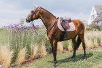 Czaprak wszechstronny Kentucky Horsewear Onion Quilt Rubber Logo