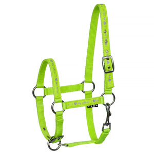 Kantar dla źrebaka Start I Love My Mini