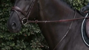 Wodze gumowe Dy'on US Collection US05A